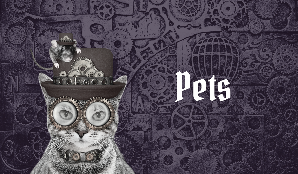 goth pet accessories<br />
